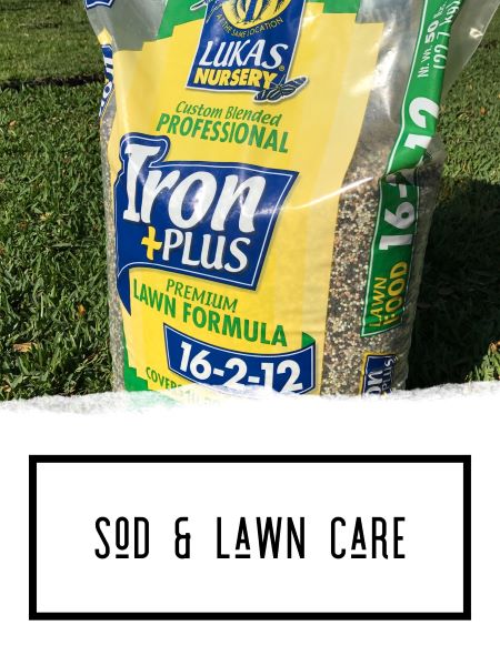 Sod & Lawn Care