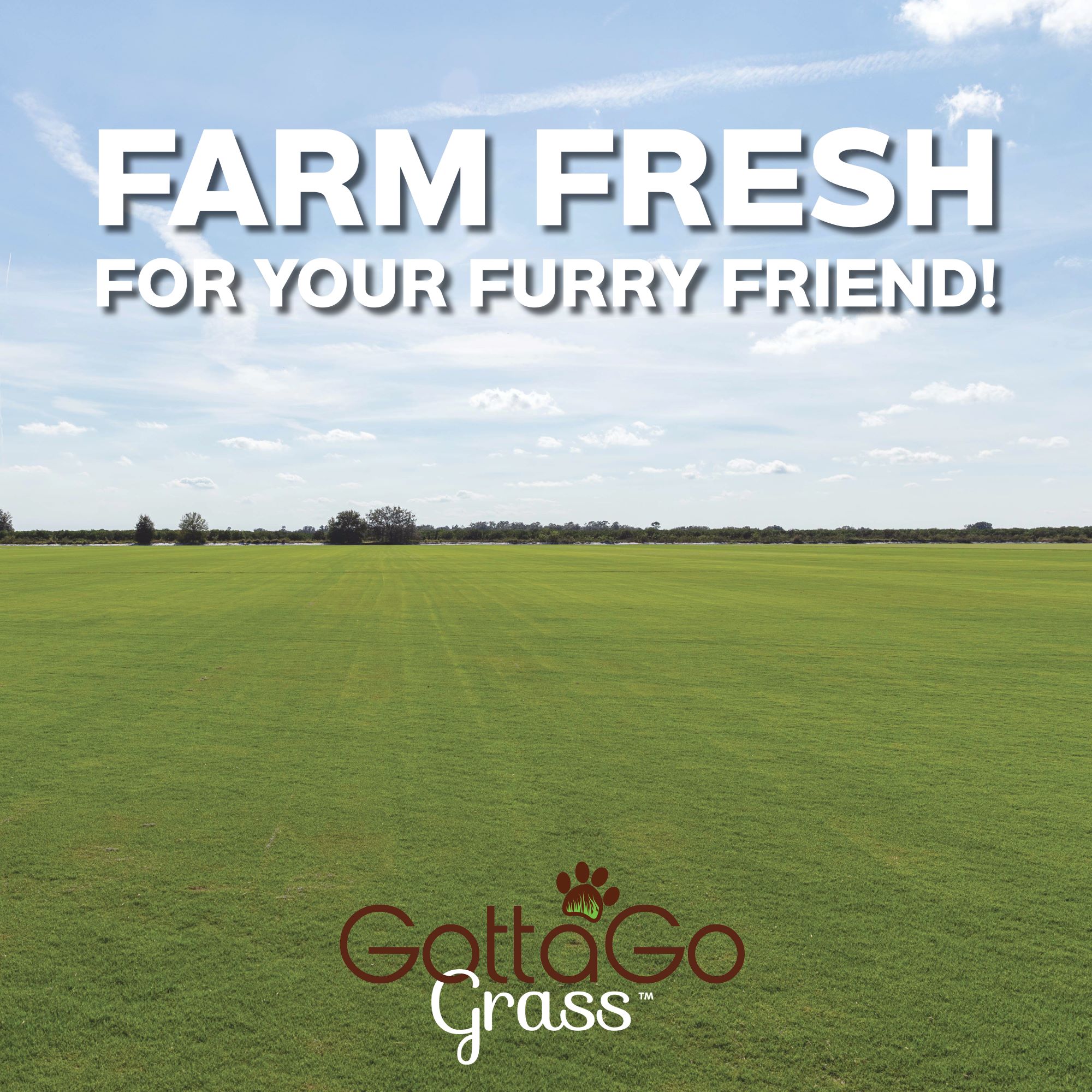 Gotta Go Grass: Farm Fresh