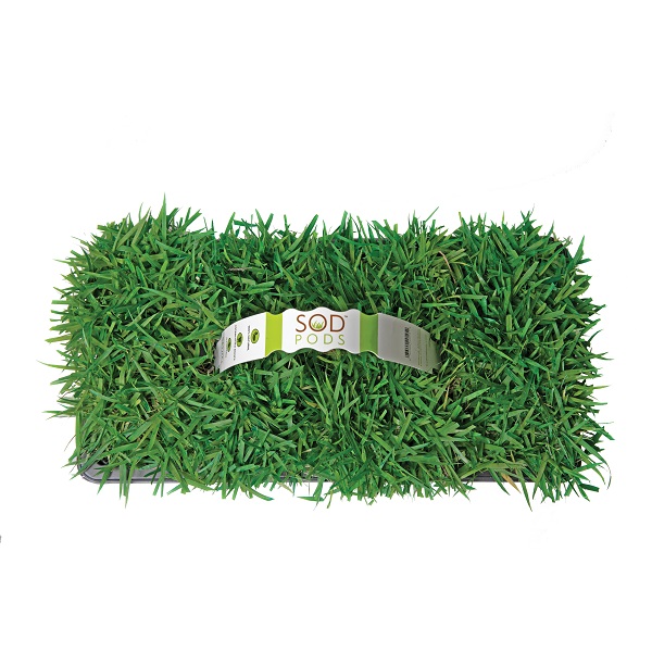 SodPods® Zoysia