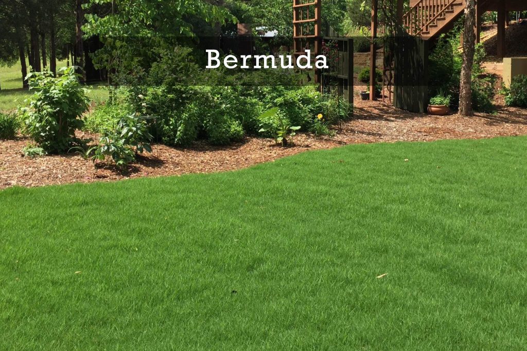 Bermuda