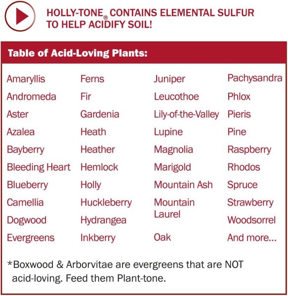 Espoma Holly Tone Benefits