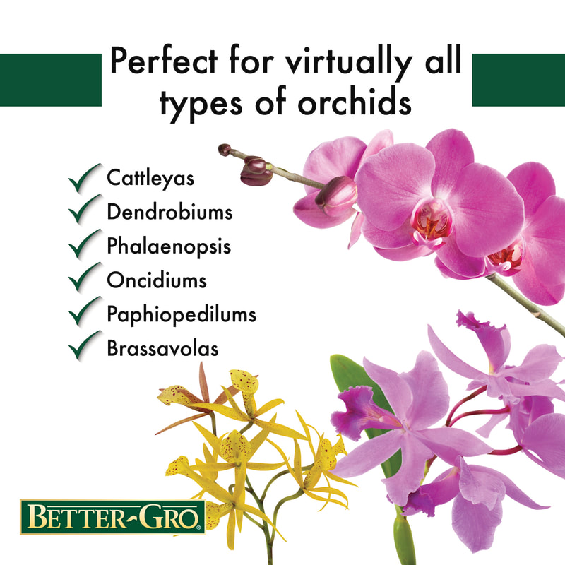 Better-Gro Orchid Mix 1
