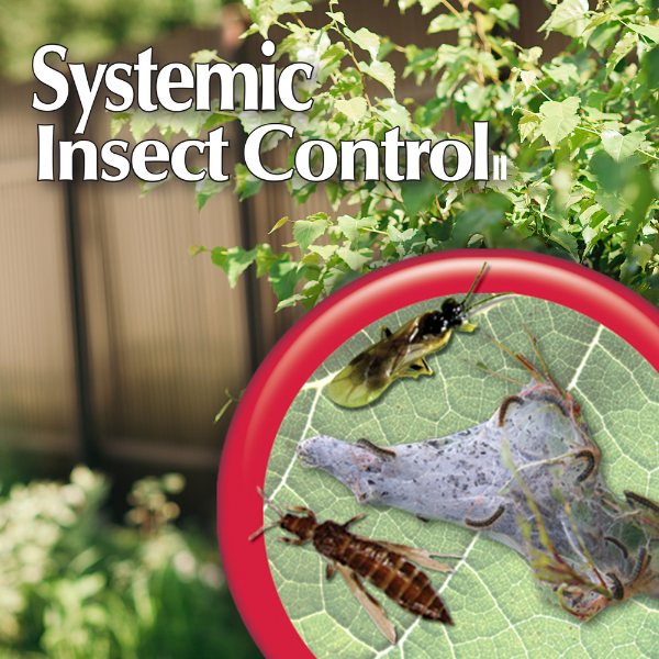 Bonide Systemic Insect Control Image4