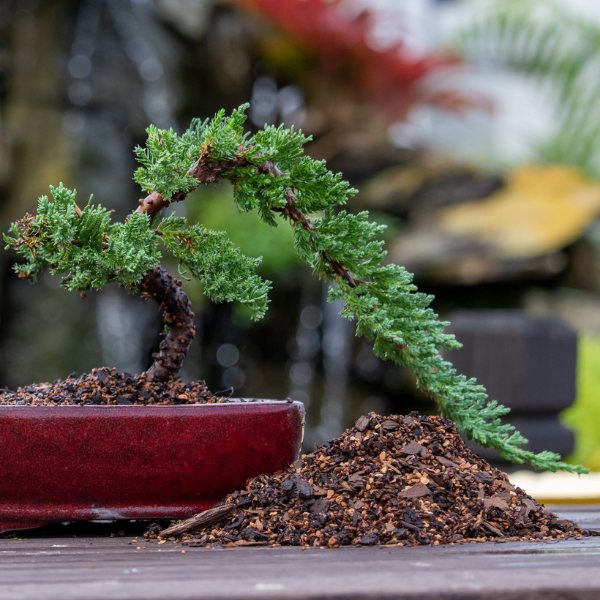 Bonsai Potting Mix