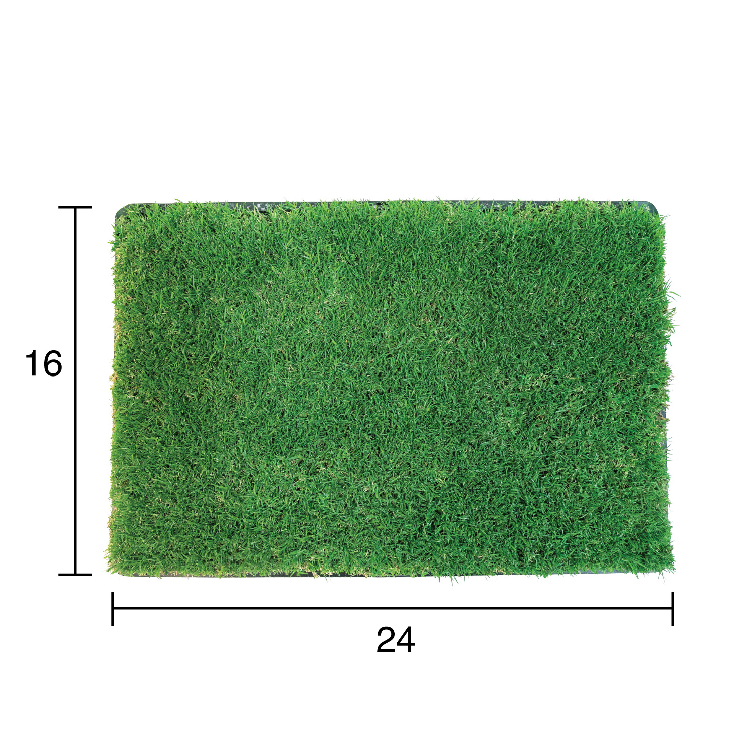 Gotta Go Grass: Dimensions