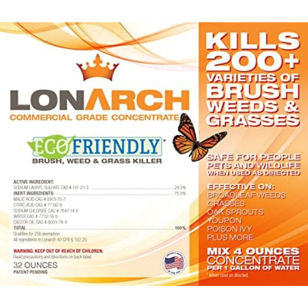 Lonarch front