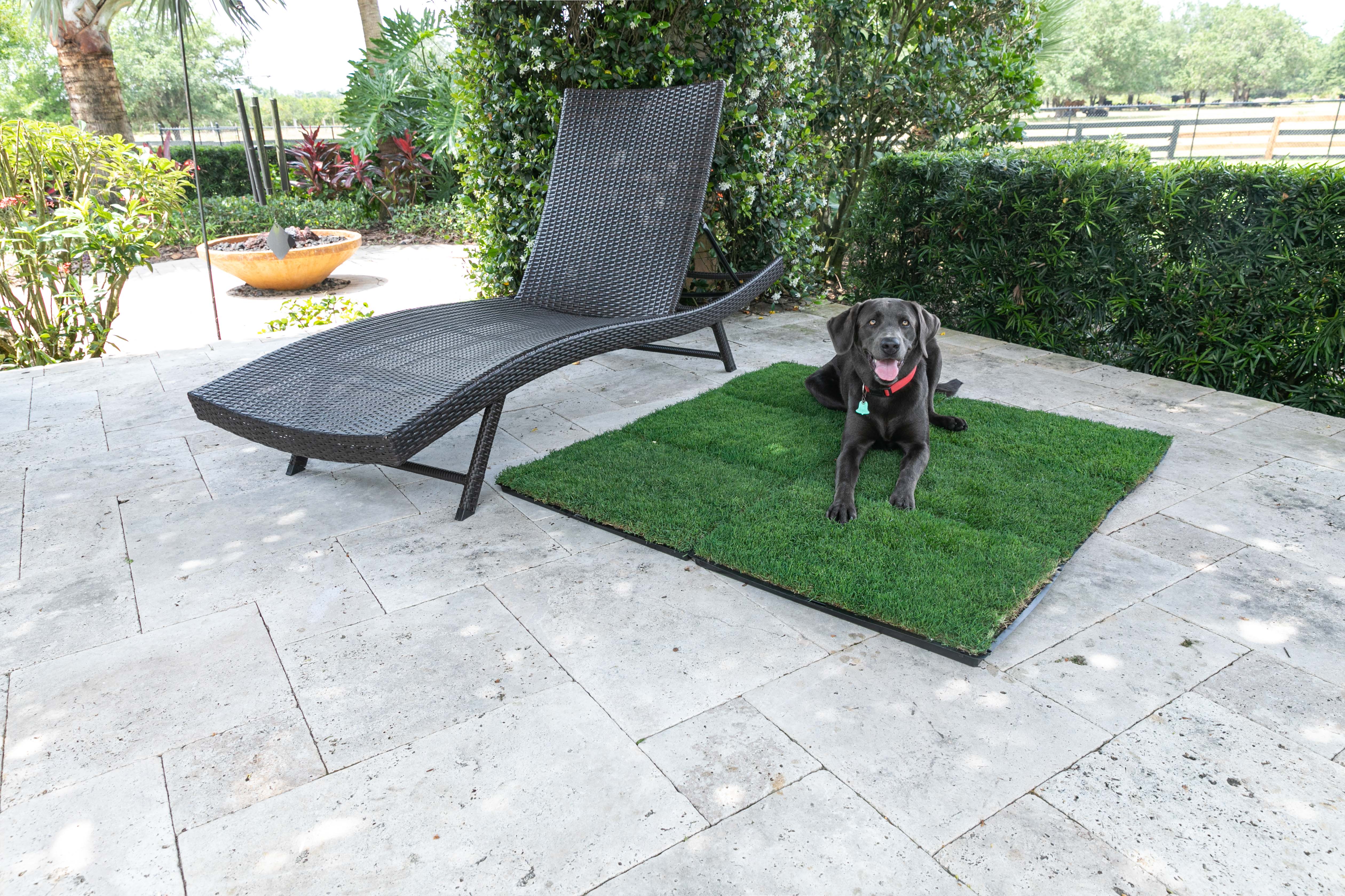 Gotta Go Grass: Multiple Trays on Patio