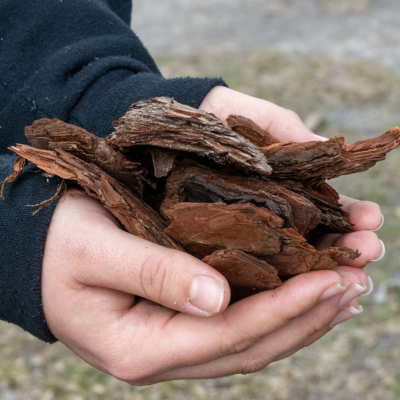 MINI Pine Bark Nugget Mulch 