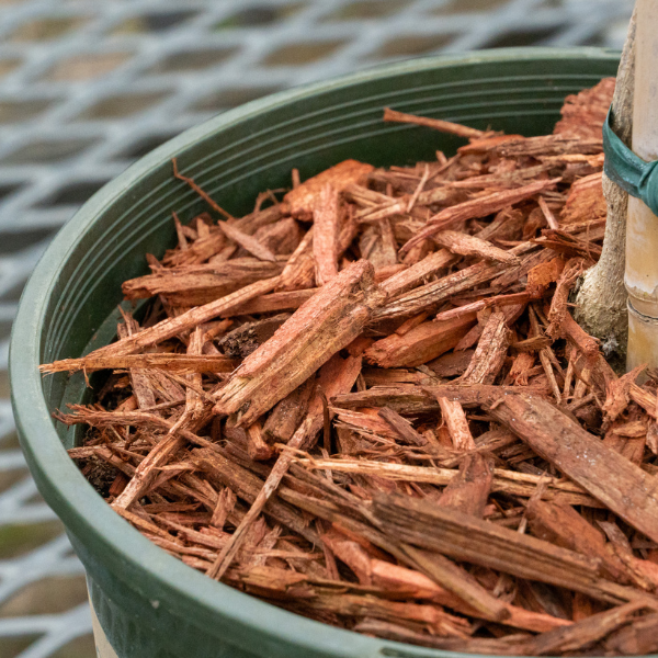 Red Mulch 