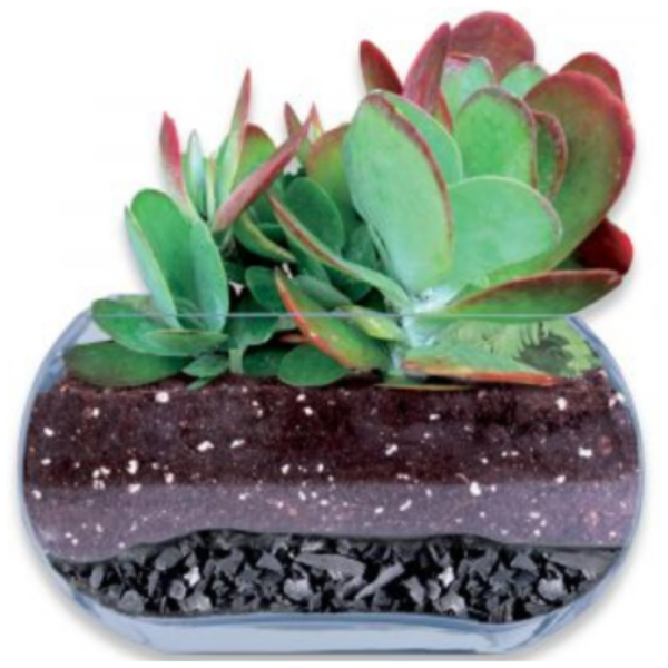 Fertilome® Charcoal