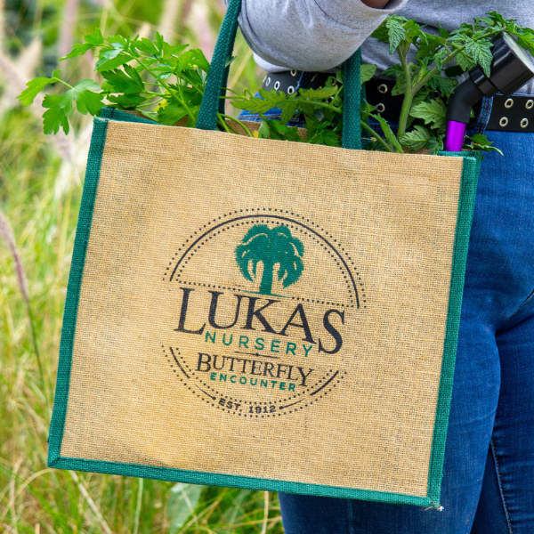 Lukas Nursery Burlap Totes