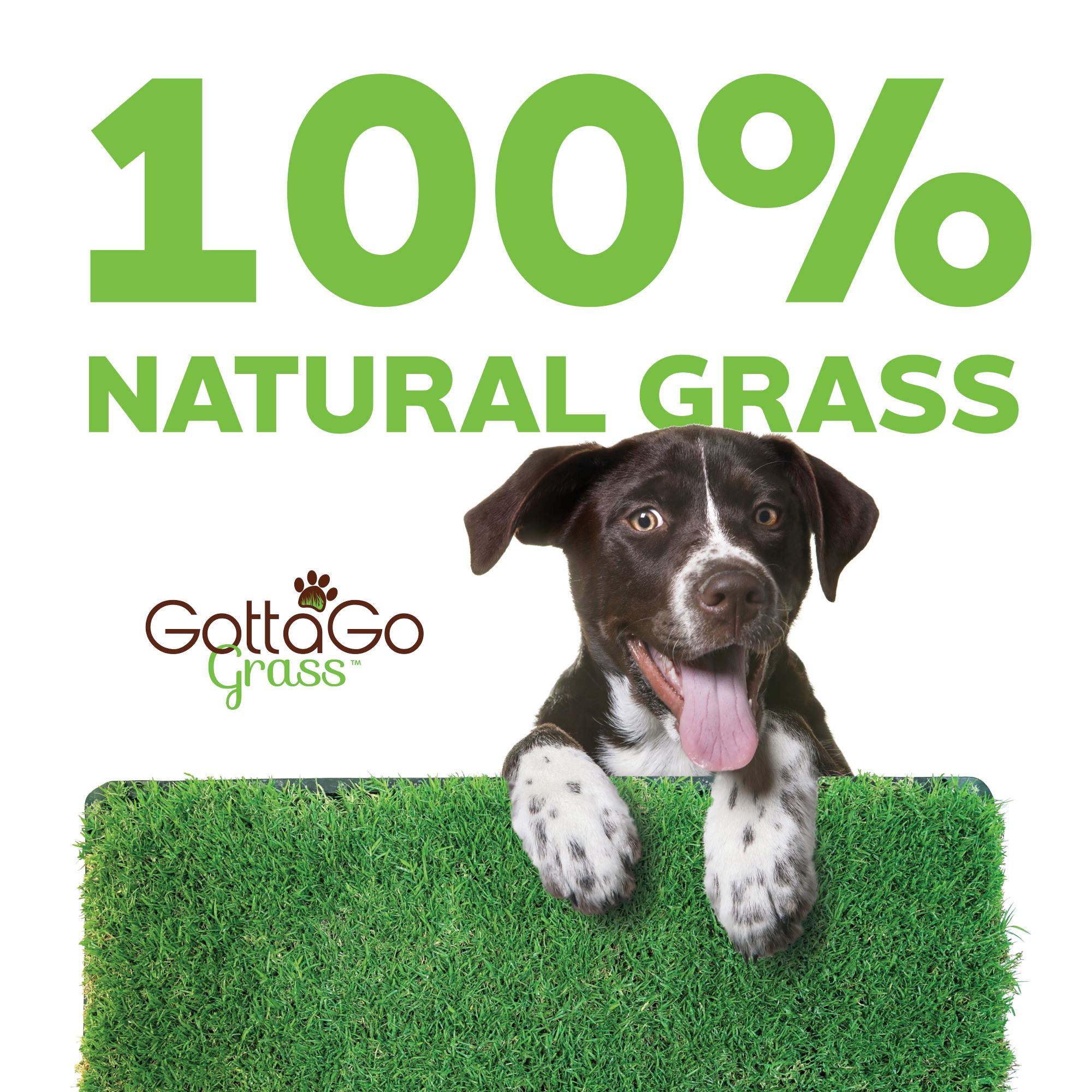 Gotta Go Grass: 100% Natural
