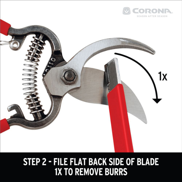 Corona Sharpening Tool