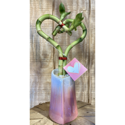 Eve's Bamboo Heart Ombre Pink Vase