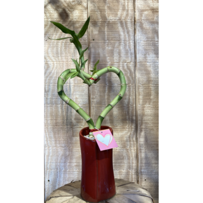 Eve's Bamboo Heart Red Vase