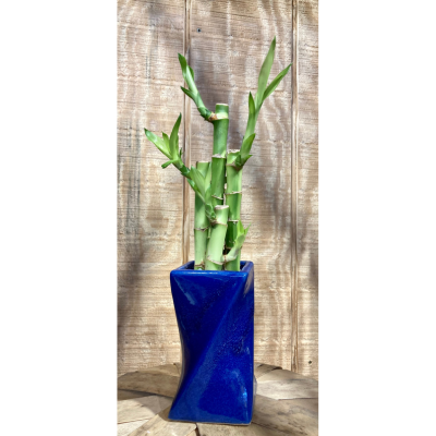 Eve's Bamboo Twisted Vase Blue