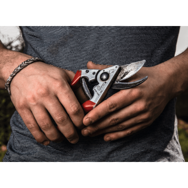 Felco® 8 Ergonomic Pruning Shear 