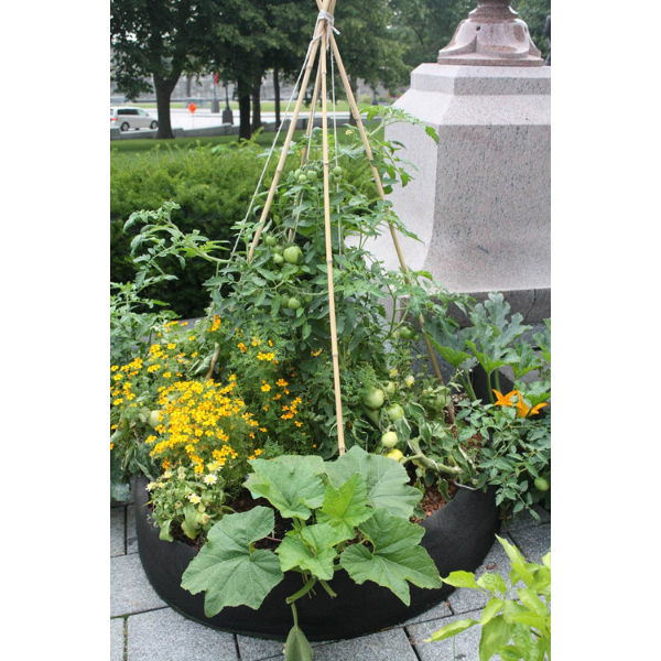 Smart pot Veg Garden