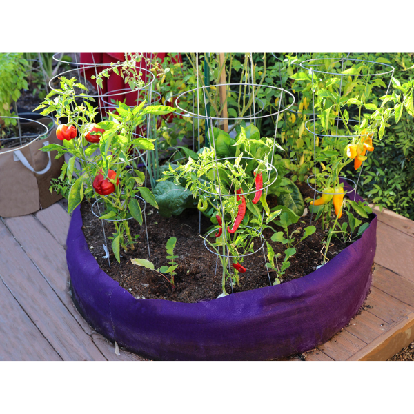 Smart Pot Peppers