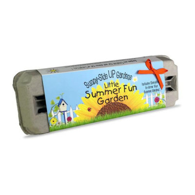 Little Summer Fun Garden Kit