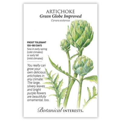 Artichoke Green Globe Improved