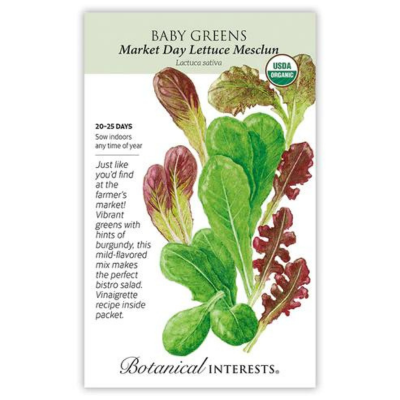 Baby Greens - Market Day Lettuce Mesclun Organic