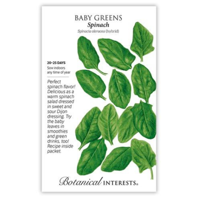 Baby Greens - Spinach 