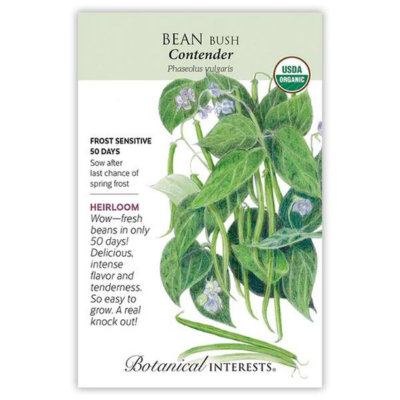 Bean Bush Contender Organic