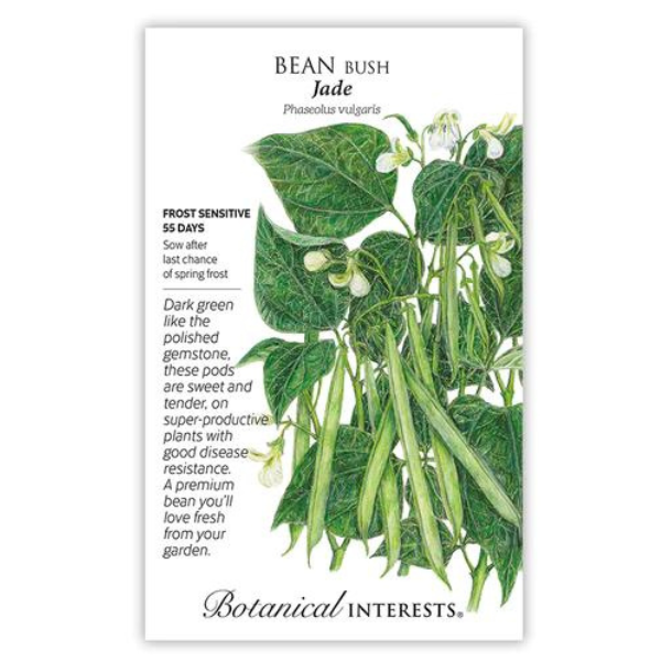 Bean Bush Jade 