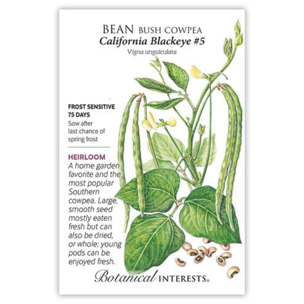 Bean Bush Cowpea California Blackeye #5