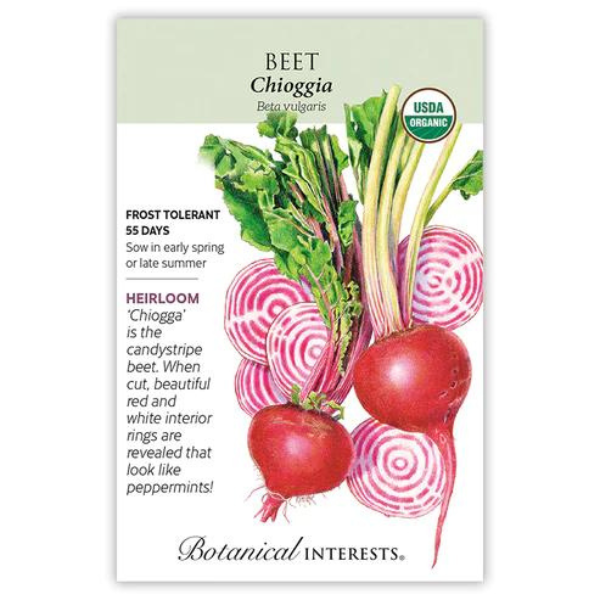 Beet Chioggia Organic