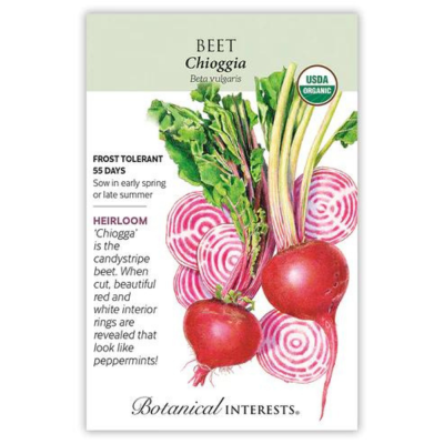 Beet Chioggia Organic