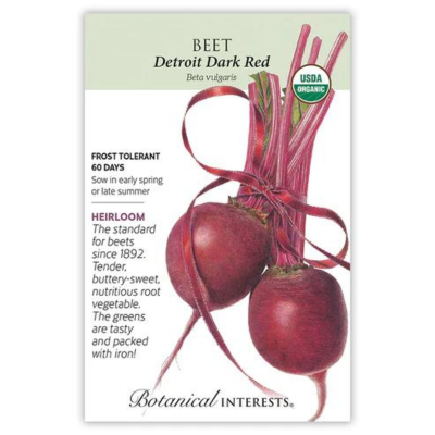 Beet Detroit Dark Red Organic