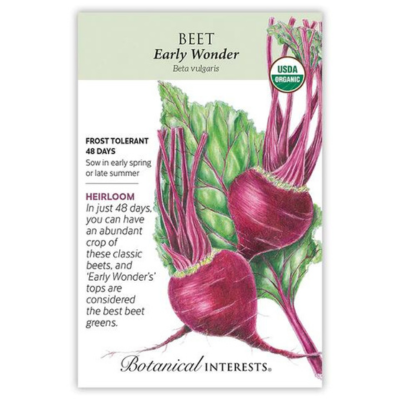 Beet Early Wonder Organic