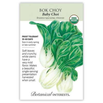 Bok Choy Baby Choi Organic