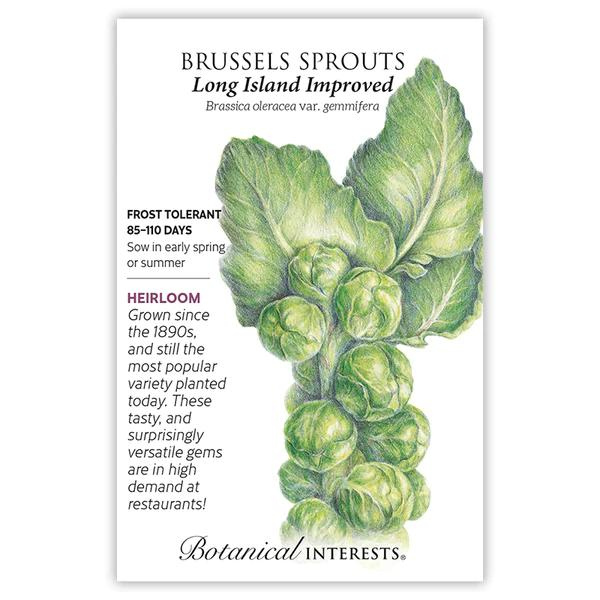 Brussel Sprouts Long Island Improved