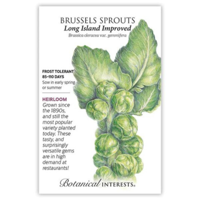 Brussel Sprouts Long Island Improved