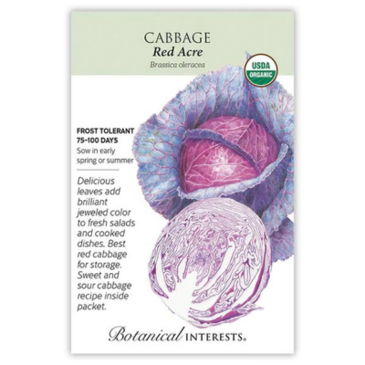 Cabbage Red Acre Organic 