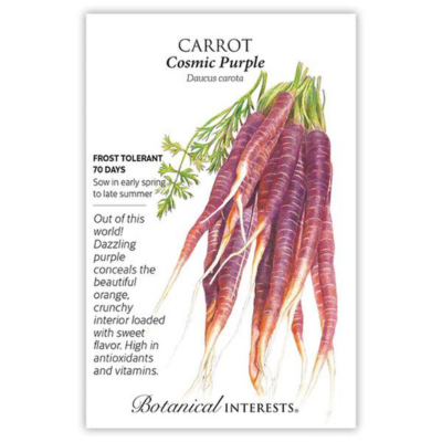 Carrot Cosmic Purple