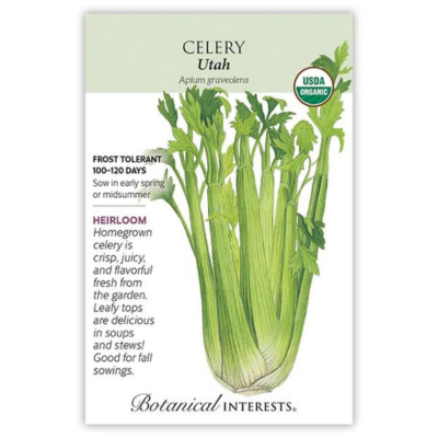 Celery Utah