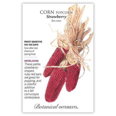 Corn Popcorn Strawberry