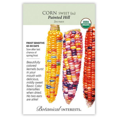Corn Sweet Painted Hill Organic