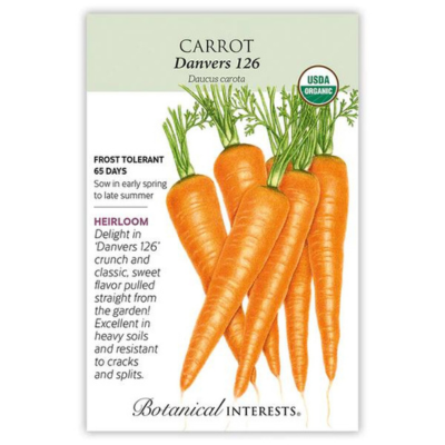 Carrot Danvers 126 Organic