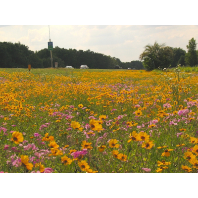 Florida Roadside Mix 5oz