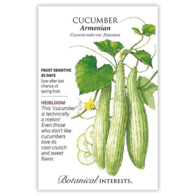 Cucumber Armenian Burpless