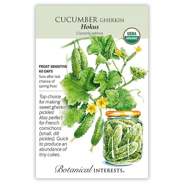 Cucumber Gherkin Hokus Organic