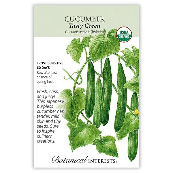 Cucumber Tasty Green Organic