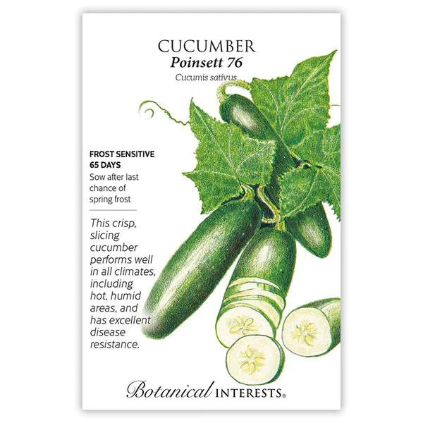 Cucumber Poinsett 76