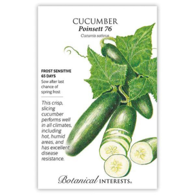 Cucumber Poinsett 76