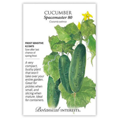 Cucumber Spacemaster 80